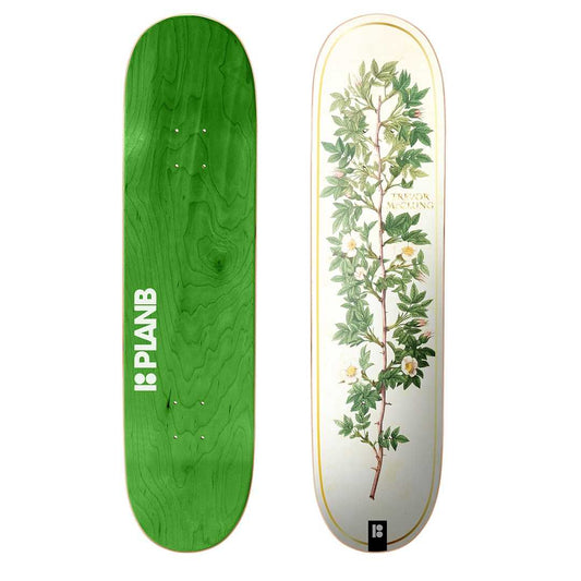 Plan B Trevor McClung Bloom 8.0